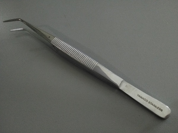 yamaco pinset gigi