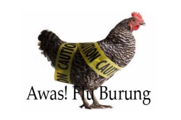 flu burung