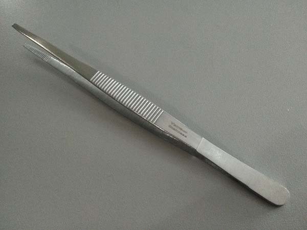 yamaco pinset anatomi.